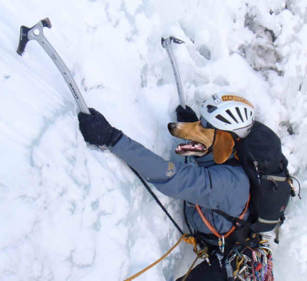 Creation of dog climber: Step 3